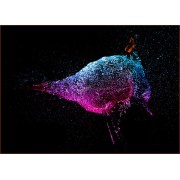 Цветные гелевые фильтры Selens SE-CG20