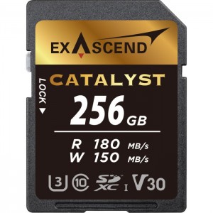 Карта памяти Exascend SDXC Catalyst UHS-I U3 V30 (180/150 MB/s) 256GB